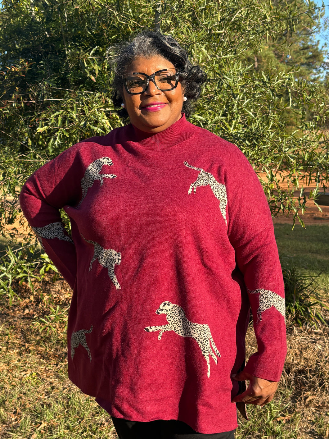 Cheetah Sweater